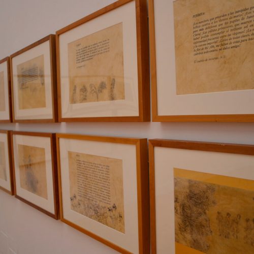 Regocijos Pablo Márquez - Mirar a Shakespeare - Exposición Temporal